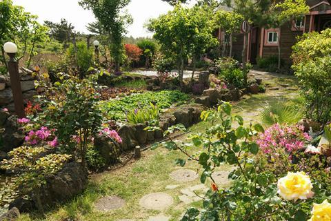 Lapaloma Pension جيجو المظهر الخارجي الصورة